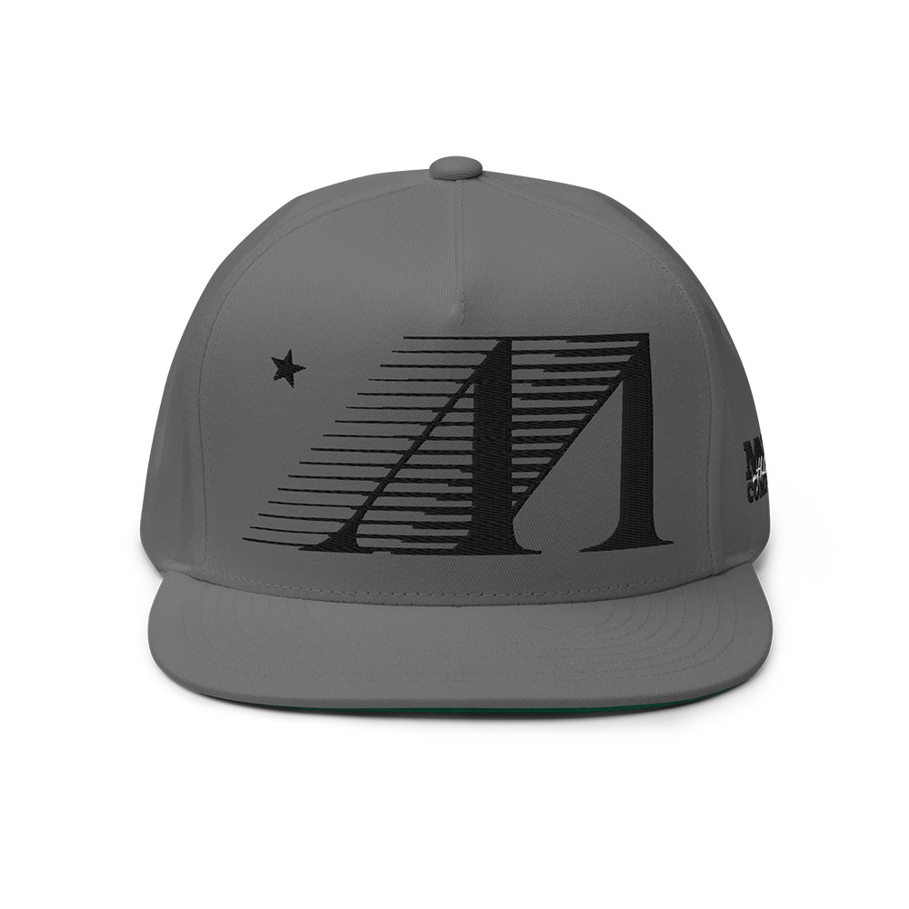 MOTION SNAPBACK
